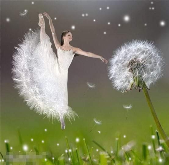 Meet your Posher, Nancy - Picture 1 of 1